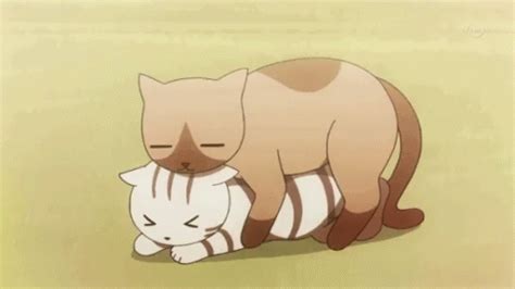 cat anime sex|anime cat Search